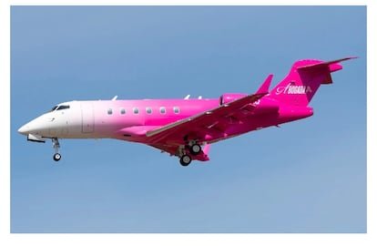 Avión privado adquirido por la abogada Alexandra Lozano, según una demanda colectiva.